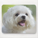 Search for animals one mousepads Consumerproduct
