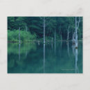 Search for surface postcards Green