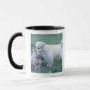 Search for lop rabbit mugs Animal