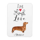 Search for dachshund magnets Dackel