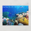 Search for sea fish postcards Underwater