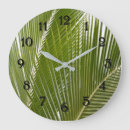 Search for tropical palm trees clocks Photography