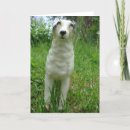 Search for borzois cards Canine