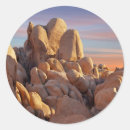 Search for sunlight stickers Photography