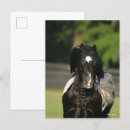 Search for gypsy vanners postcards Black and white