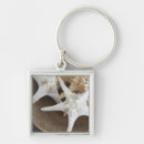 Search for starfish key rings Seashell