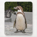 Search for penguin mousepads Bird