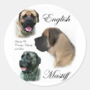 Search for english mastiff stickers Pet