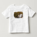 Search for fall colour tshirts Cascade