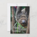 Search for hang in there cards Sloth