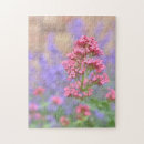 Search for english garden puzzles Flowers