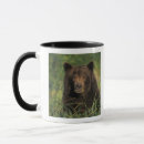 Search for arctos mugs Bear