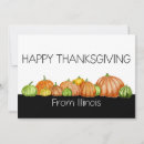 Search for illinois state cards Watercolor