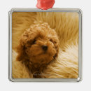 Search for furniture christmas tree decorations Vertical