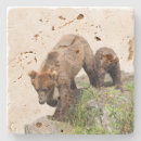 Search for travertine coasters Stone
