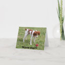Search for plays cards Dog