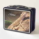 Search for dragon lunch boxes Reptile