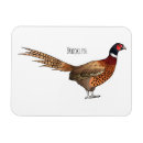 Search for pheasant magnets Phasianus colchicus