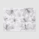 Search for line drawing tissue paper Black and white