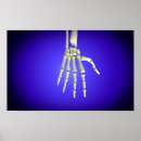Search for human limb posters Joint