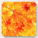 Search for fall colours coasters Orange