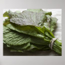 Search for mustard art Green