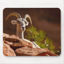 Search for rare animals mousepads Mammal