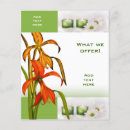 Search for spa flyers Business