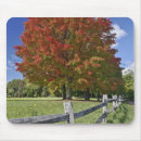 Search for maple mousepads Fence
