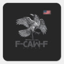Search for usa stickers Raven