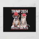 Search for maga postcards Election