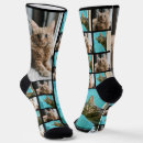 Search for pet socks Collage