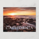Search for tide pool postcards Coast