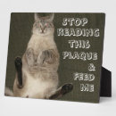 Search for funny cat plaques Pet