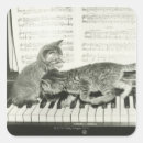 Search for piano cat stickers Cute