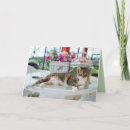 Search for spring time cards Flowers