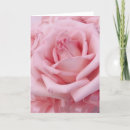 Search for vi cards Pink