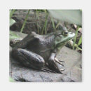 Search for side view magnets Nature