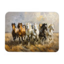 Search for herd magnets Horse