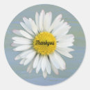 Search for watercolor background stickers Floral
