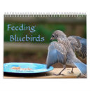 Search for bluebird calendars Nature