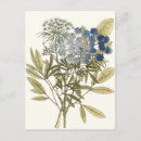 Search for botanical study postcards Flowers