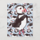Search for puffin postcards Penguin