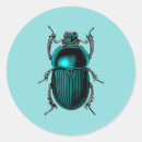 Search for scarab beetle stickers Insect