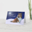 Search for shetland sheepdog christmas cards Sheltie