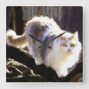Search for maine coon cat art Fluffy