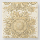 Search for creatures coasters Gold