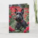 Search for scottish terrier cards Black