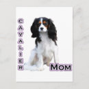 Search for ckc postcards Spaniel