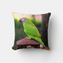 Search for green parrot cushions Animal
